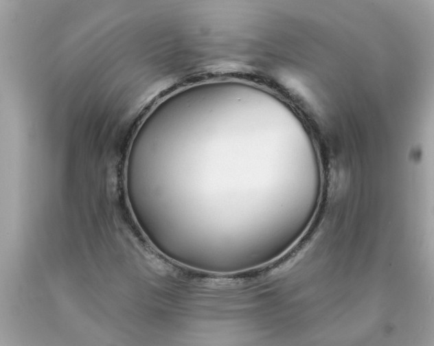 X0000090501305200707272353