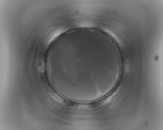 X0000090501306200707272353