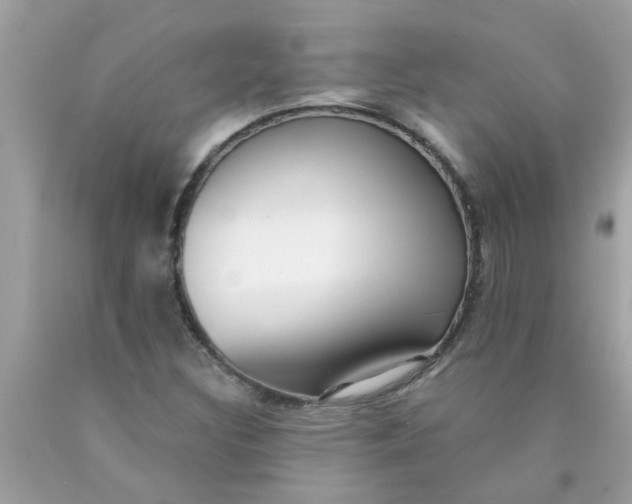 X0000090501308200707272353