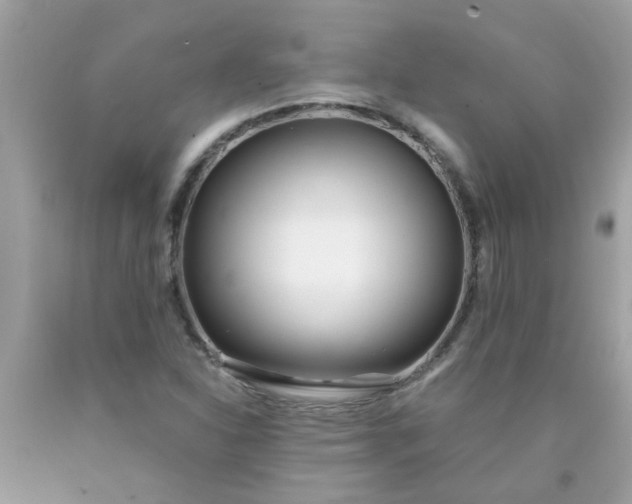 X0000090501310200707272353