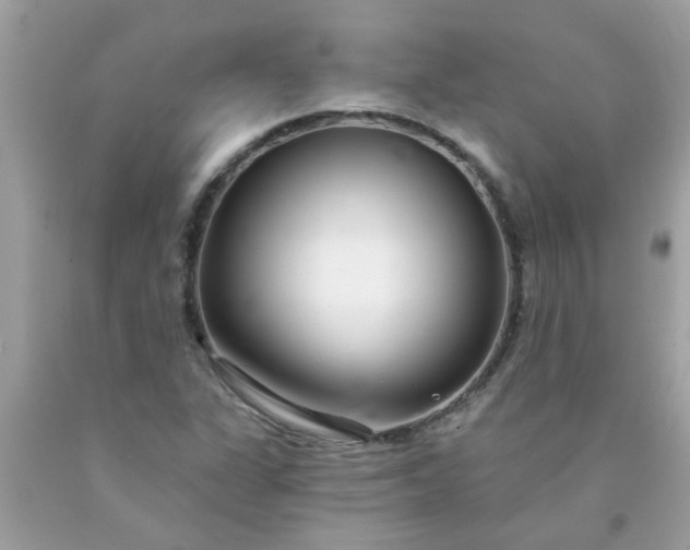 X0000090501311200707272353