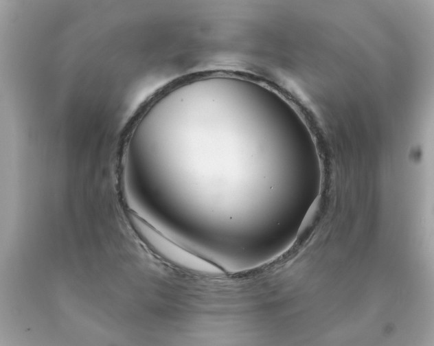 X0000090501312200707272353