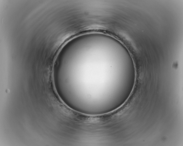 X0000090501313200707272353