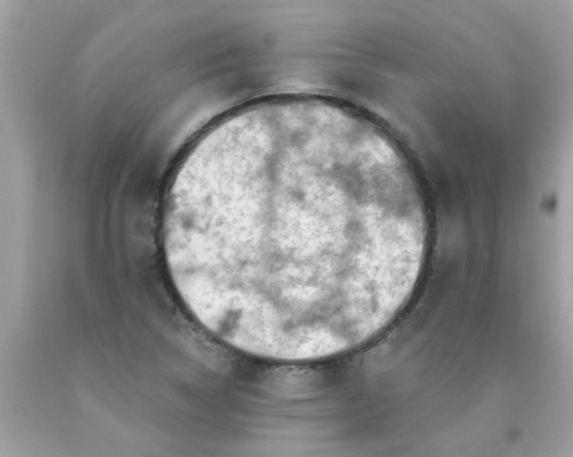 X0000090501314200707272353