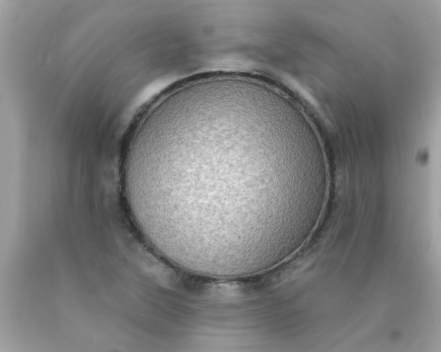 X0000090501315200707272353