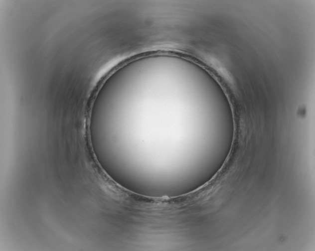 X0000090501316200707272353