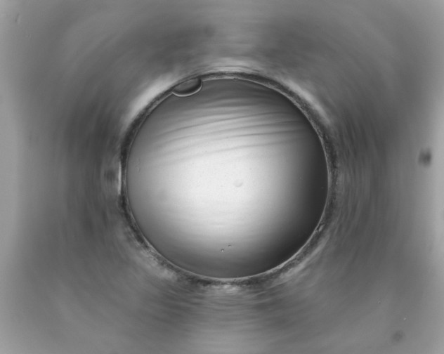 X0000090501317200707272353