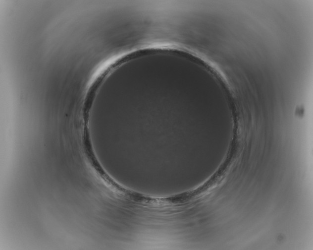 X0000090501319200707272353