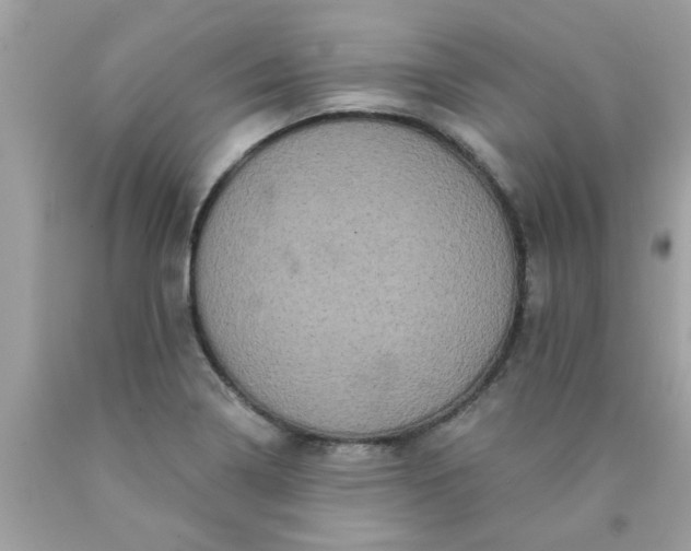 X0000090501322200707272353