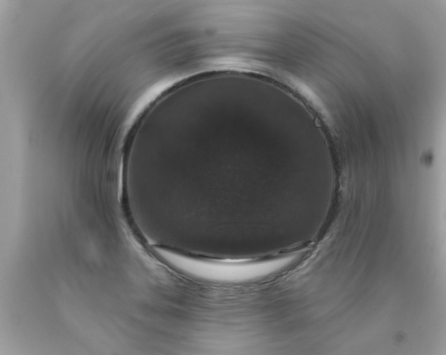 X0000090501323200707272353