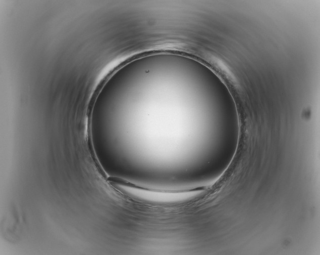 X0000090501324200707272353