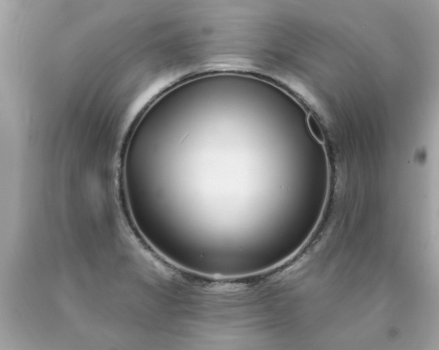 X0000090501325200707272353