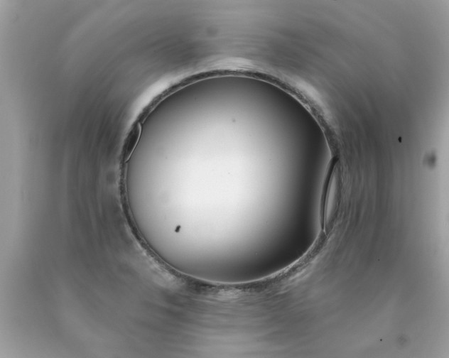 X0000090501326200707272353