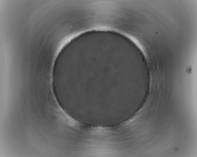 X0000090501327200707272353