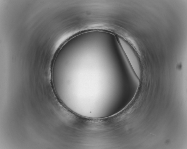 X0000090501328200707272353