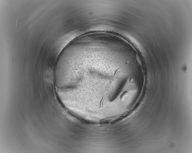 X0000090501329200707272353