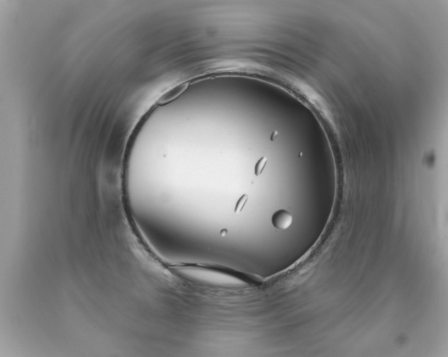 X0000090501330200707272353