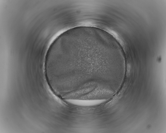 X0000090501331200707272353