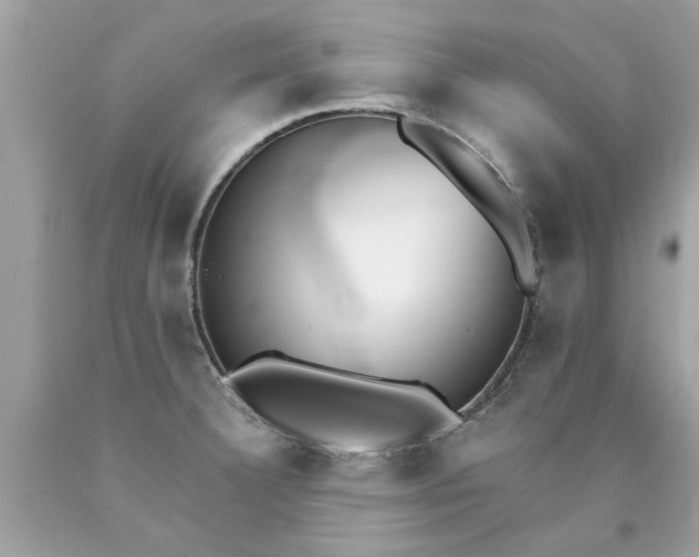 X0000090501332200707272353