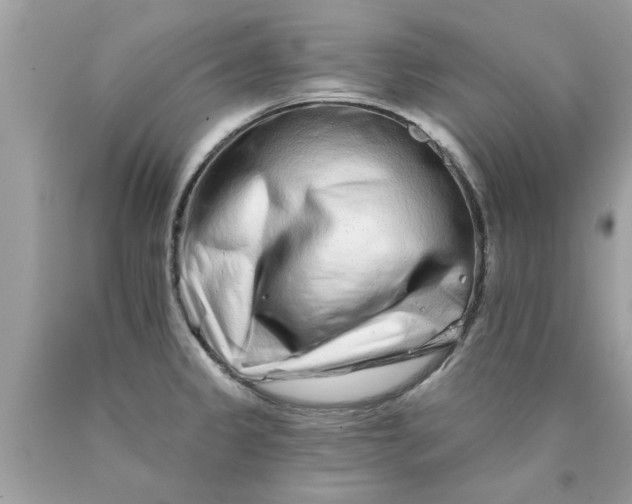 X0000090501333200707272353