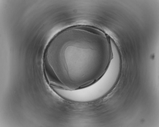 X0000090501334200707272353