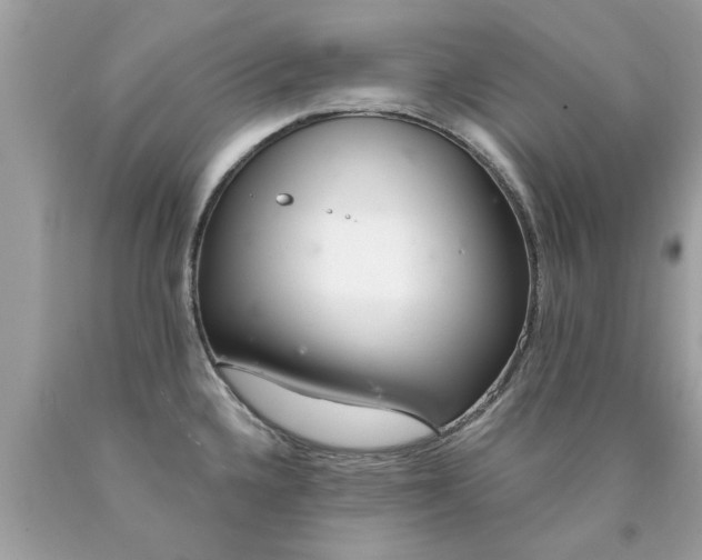 X0000090501336200707272353