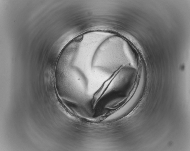 X0000090501337200707272353