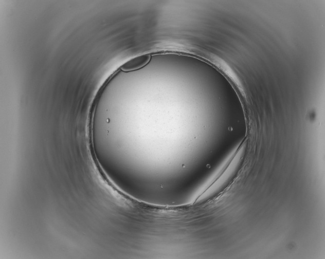 X0000090501339200707272353