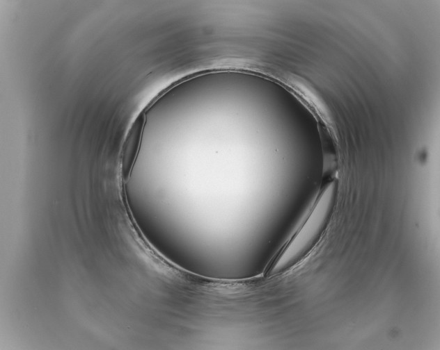 X0000090501340200707272353