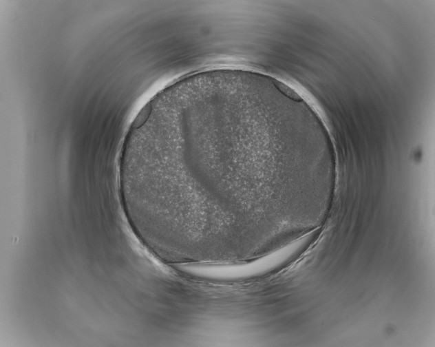 X0000090501341200707272353