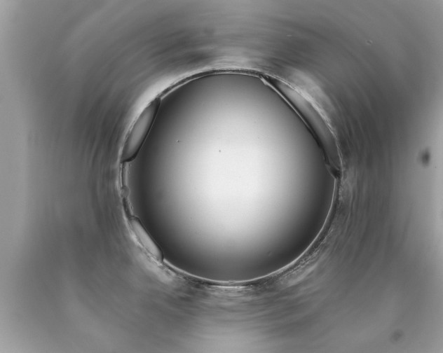 X0000090501342200707272353