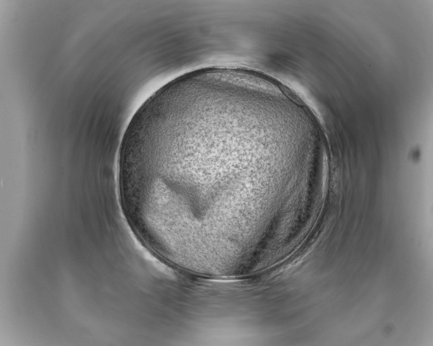 X0000090501343200707272353