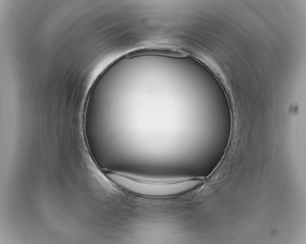 X0000090501344200707272353