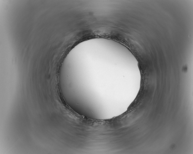 X0000090501345200707272353