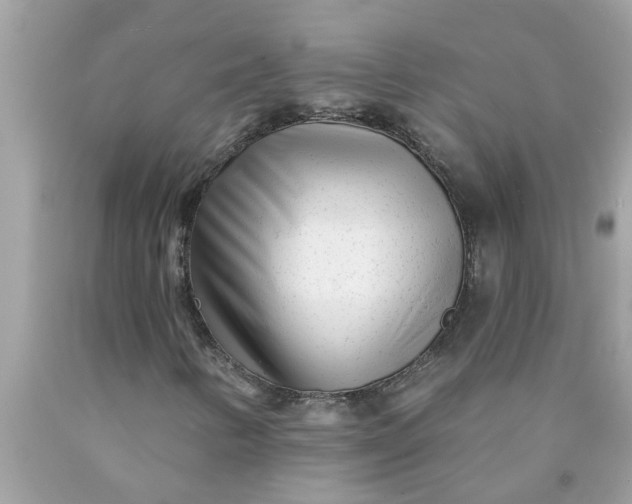 X0000090501346200707272353