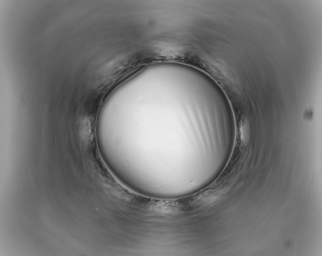 X0000090501347200707272353