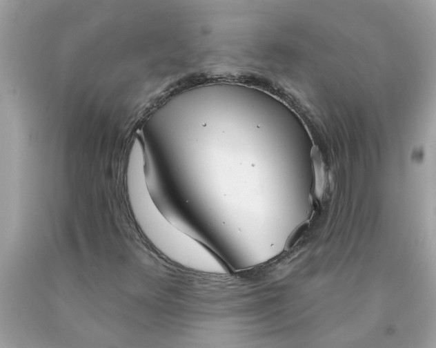 X0000090501348200707272353