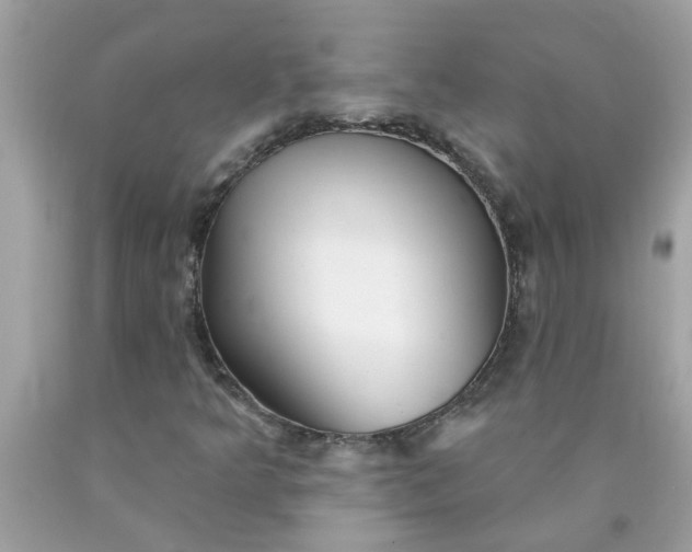 X0000090501349200707272353