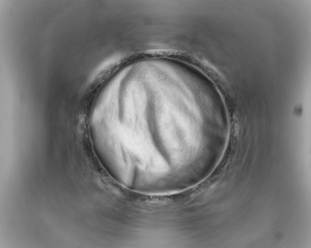 X0000090501351200707272353