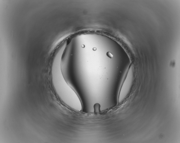 X0000090501352200707272353