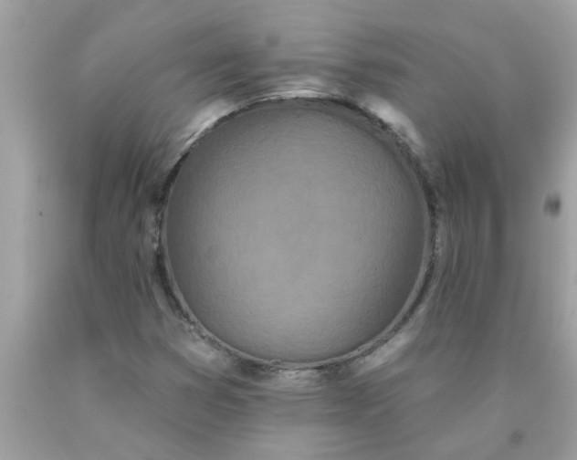 X0000090501353200707272353