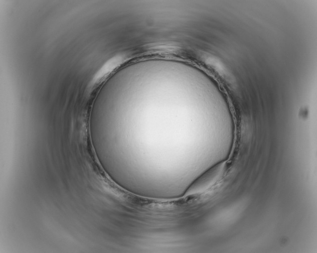 X0000090501354200707272353