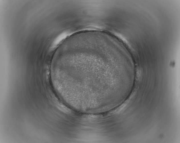 X0000090501355200707272353