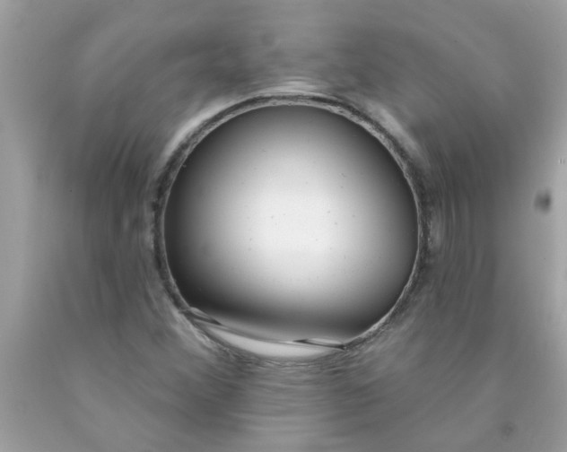 X0000090501356200707272353