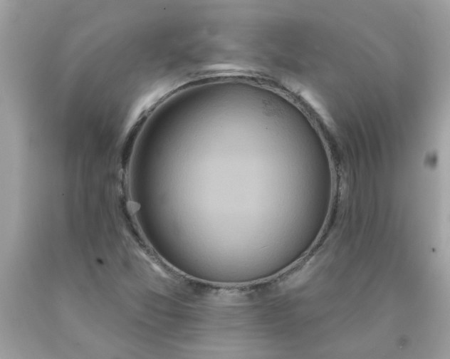 X0000090501357200707272353