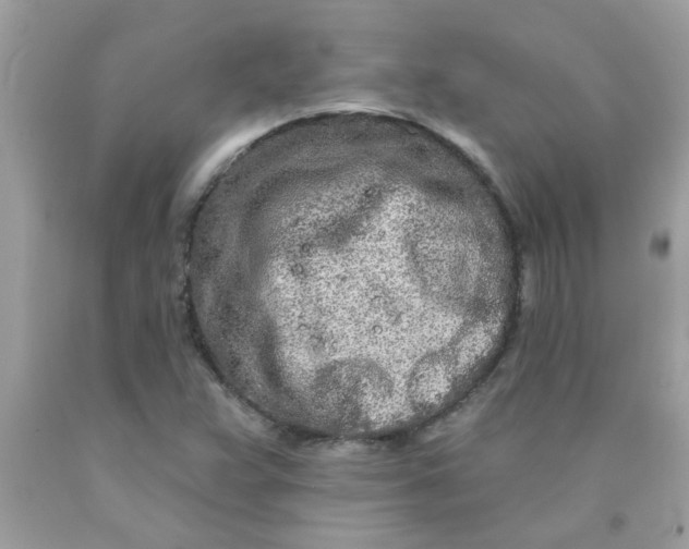 X0000090501359200707272353