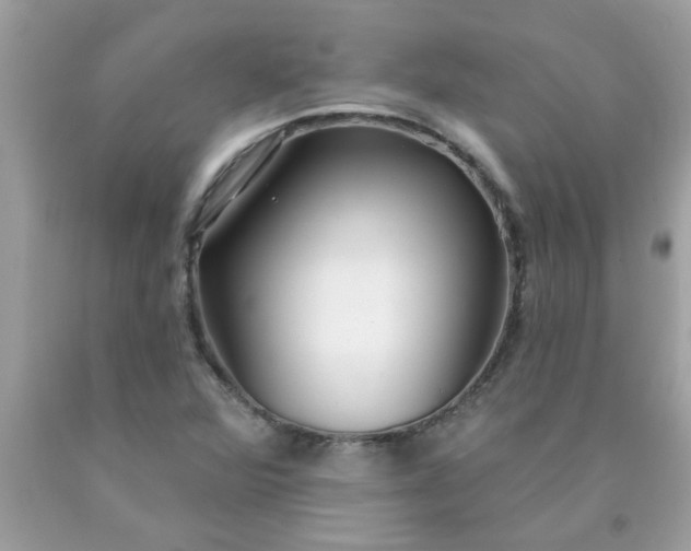 X0000090501360200707272353