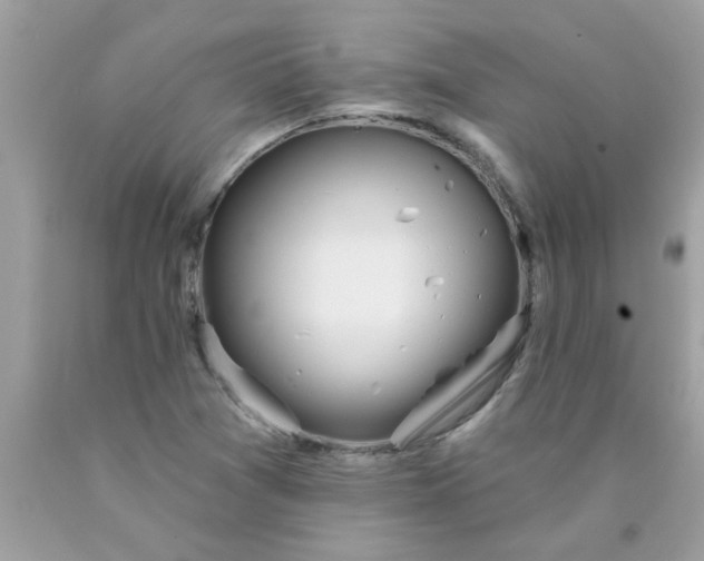 X0000090501361200707272353