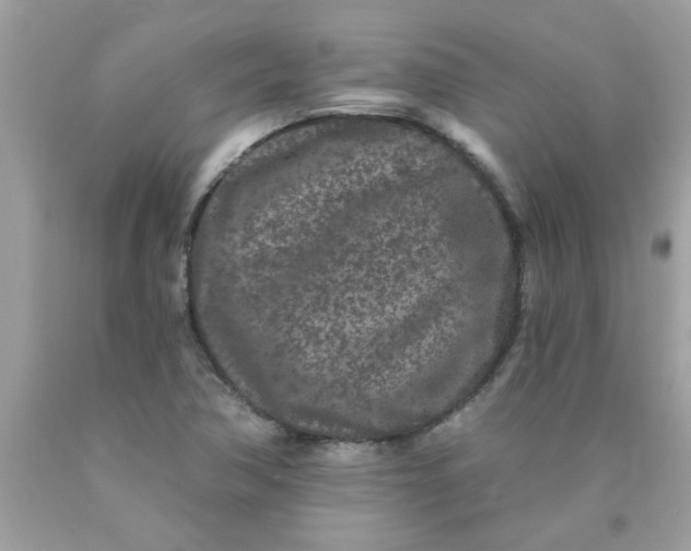 X0000090501362200707272353