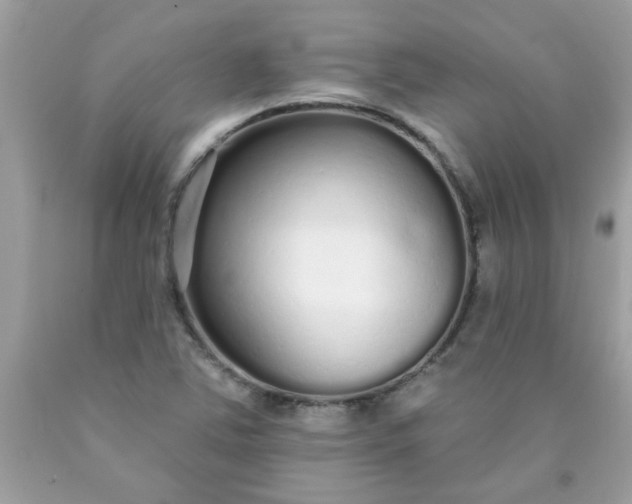 X0000090501363200707272353